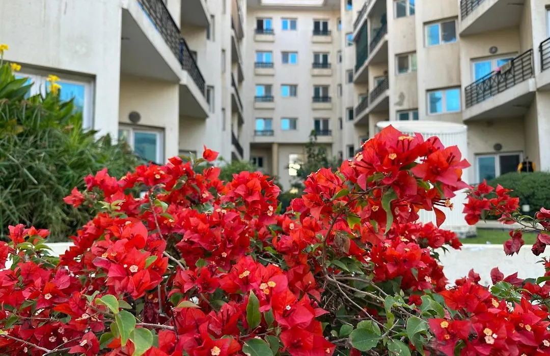 The Center Residence-1